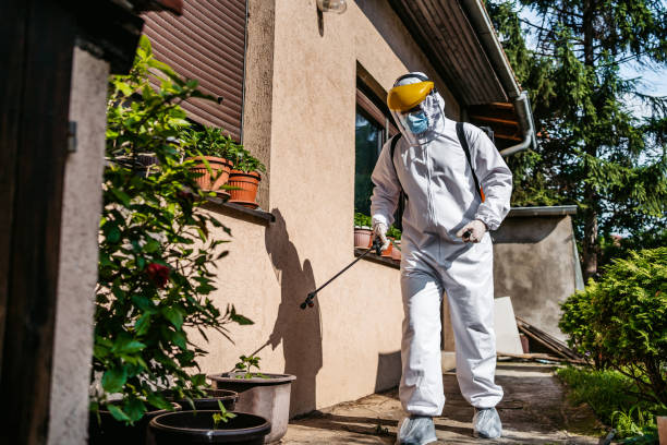 Best Rat Extermination Near Me  in Dovesville, SC