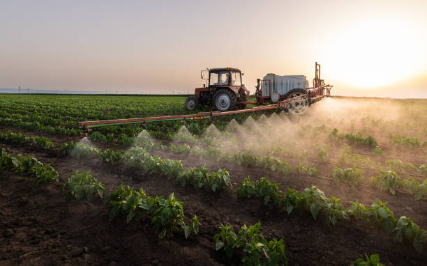 Best Pest Removal Services  in Dovesville, SC