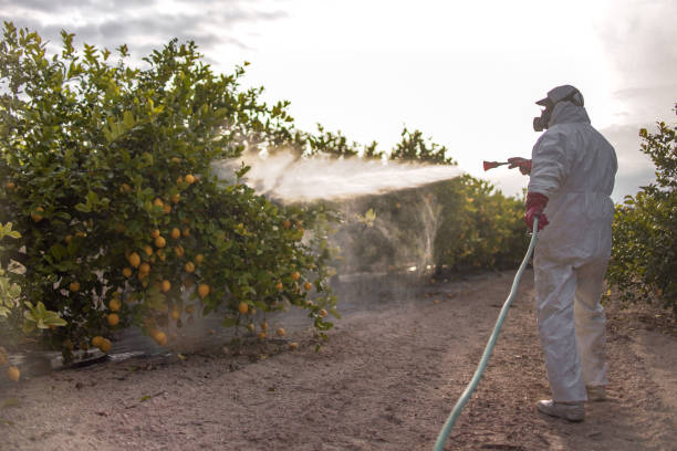 Best Pest Inspection Near Me  in Dovesville, SC