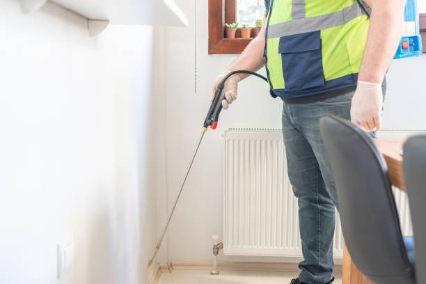 Best Flea Control Services  in Dovesville, SC