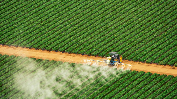 Best Best Pest Control Companies  in Dovesville, SC