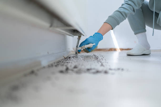 Pest Prevention Services in Dovesville, SC